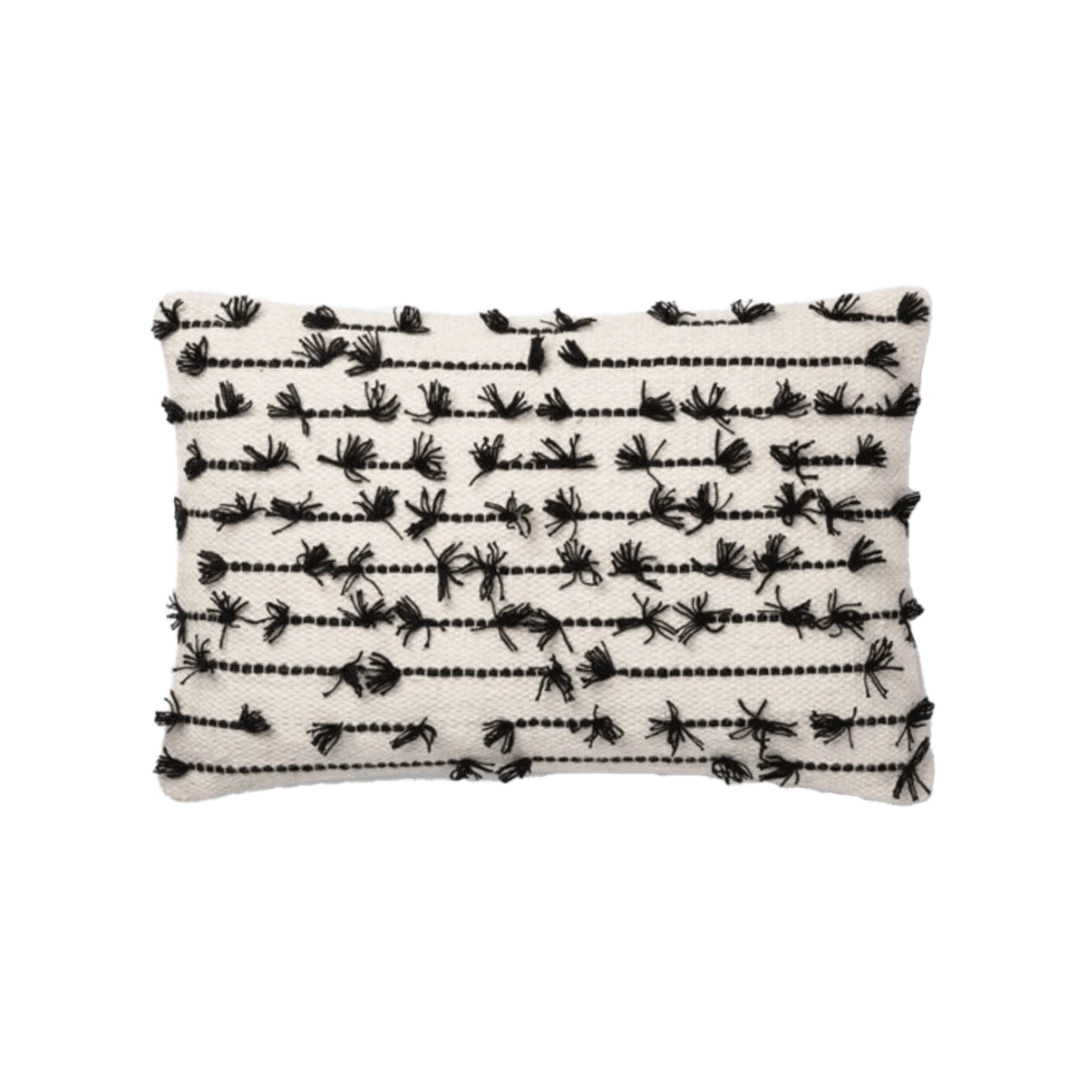 Bird On Wire Pillow By Justina Blakeney® X Loloi