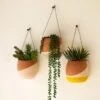 Color Dipped Wall Planter Set